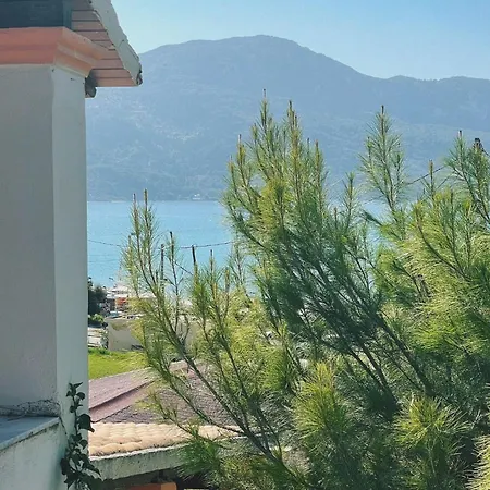 House Anastasia 3*